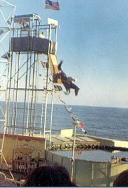 Diving Horse on Steel Pier
