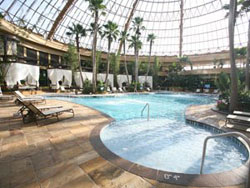 Indoor Pool at Harrah's