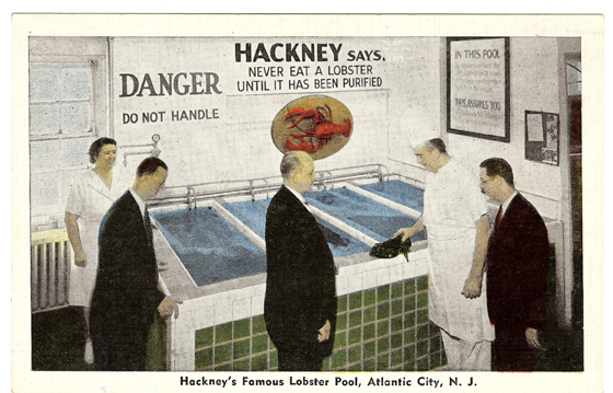 Hackney's Lobster Pool 